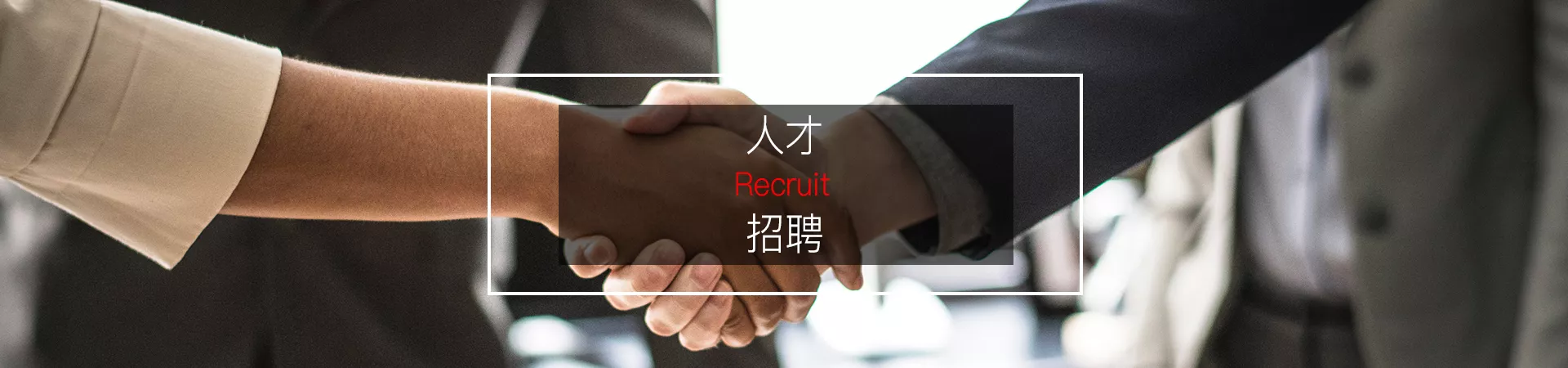 加入科信团队，在专业服务实践中共同推动企业高质量发展主视觉